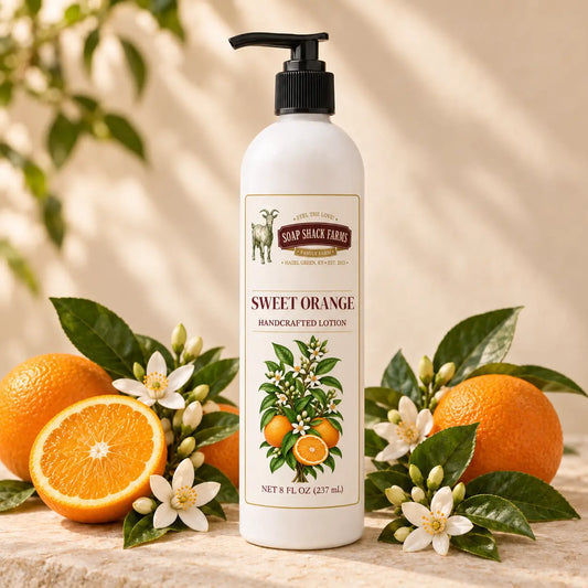 Soap Shack Farms Sweet Orange Handcrafted Body Lotion surrounded by ripe oranges, orange blossoms, and glossy green leaves